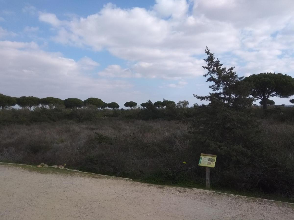 אל פוארטו דה סנטה מריה Tu Denscanso En Valdelagrana Frente Al Mar מראה חיצוני תמונה